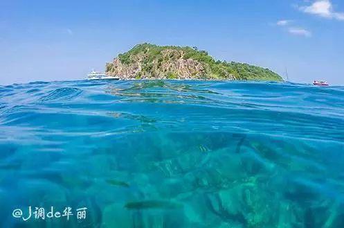 晶合集成:2023年净利润同比预降91.63%到94.42%