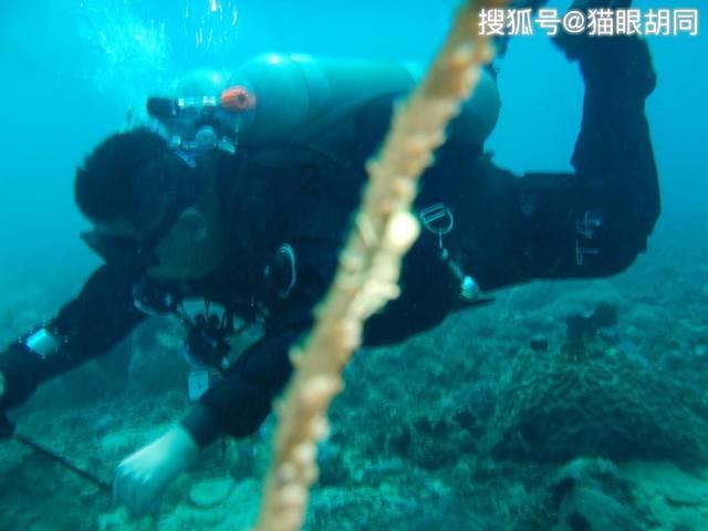 如何缓解假期综合征呢？游戏画面